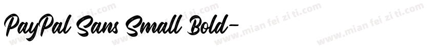 PayPal Sans Small Bold字体转换